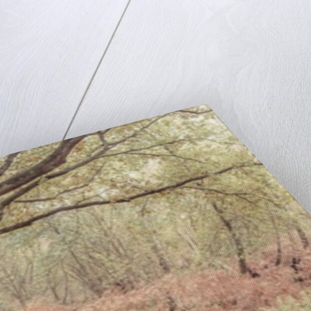 Canal through forest by Assaf Frank